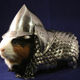 Illustration for article titled You Know You Want This Handmade Guinea Pig Chain Mail